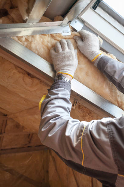 Best Spray Foam Insulation in Adelphi, MD