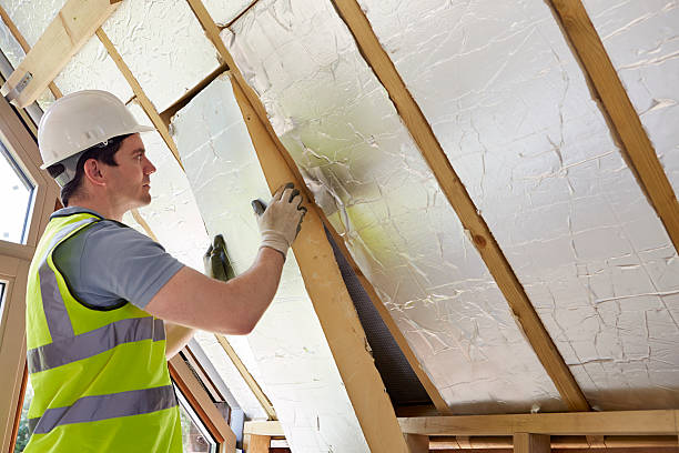 Best Geographic-Specific Insulation Services in Adelphi, MD