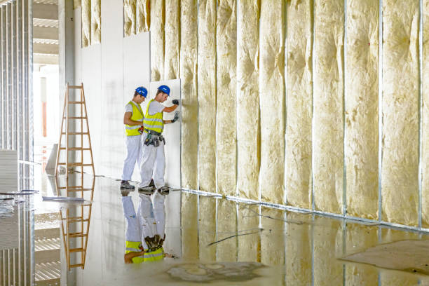 Best Energy Efficiency Insulation in Adelphi, MD